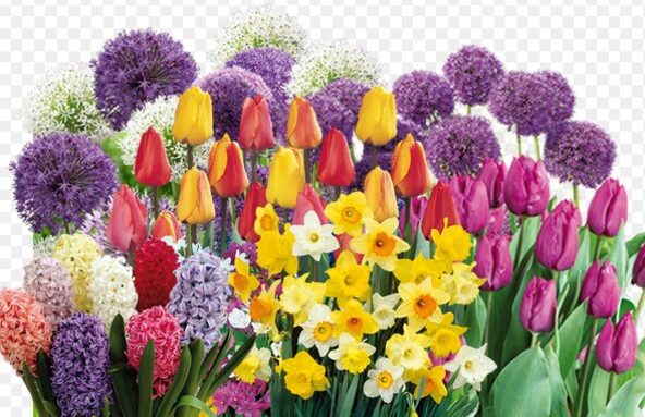 Capture d’écran 2026-03-12 093927.jpg